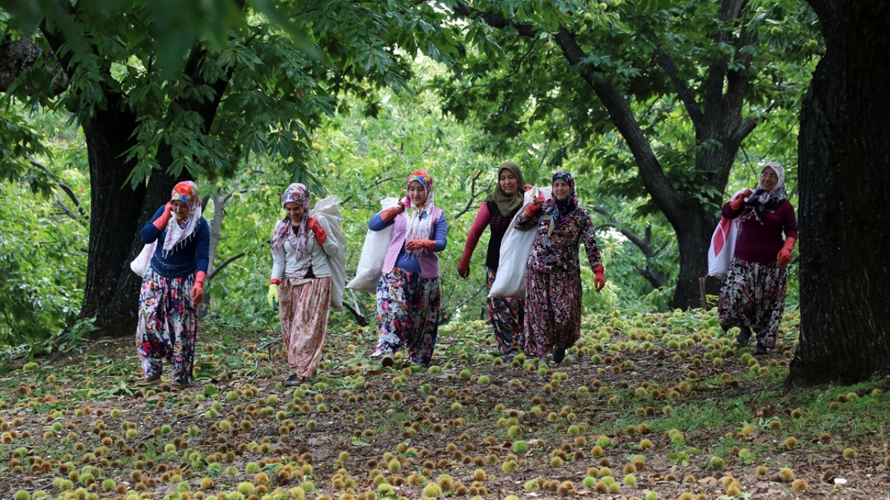 "İnsanın beli ağrıyor"