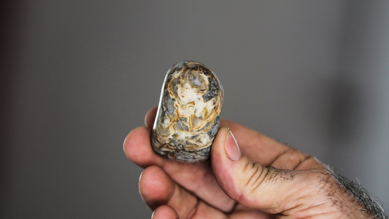 Koleksiyonda ayrıca, dünya üzerinde çok ender rastlanan aydan düşen gök taşları, eski çağlara ait ve üzerinde farklı şekiller bulunan taşlar ile ömrü 160 yıllık bir taş değirmen yer alıyor