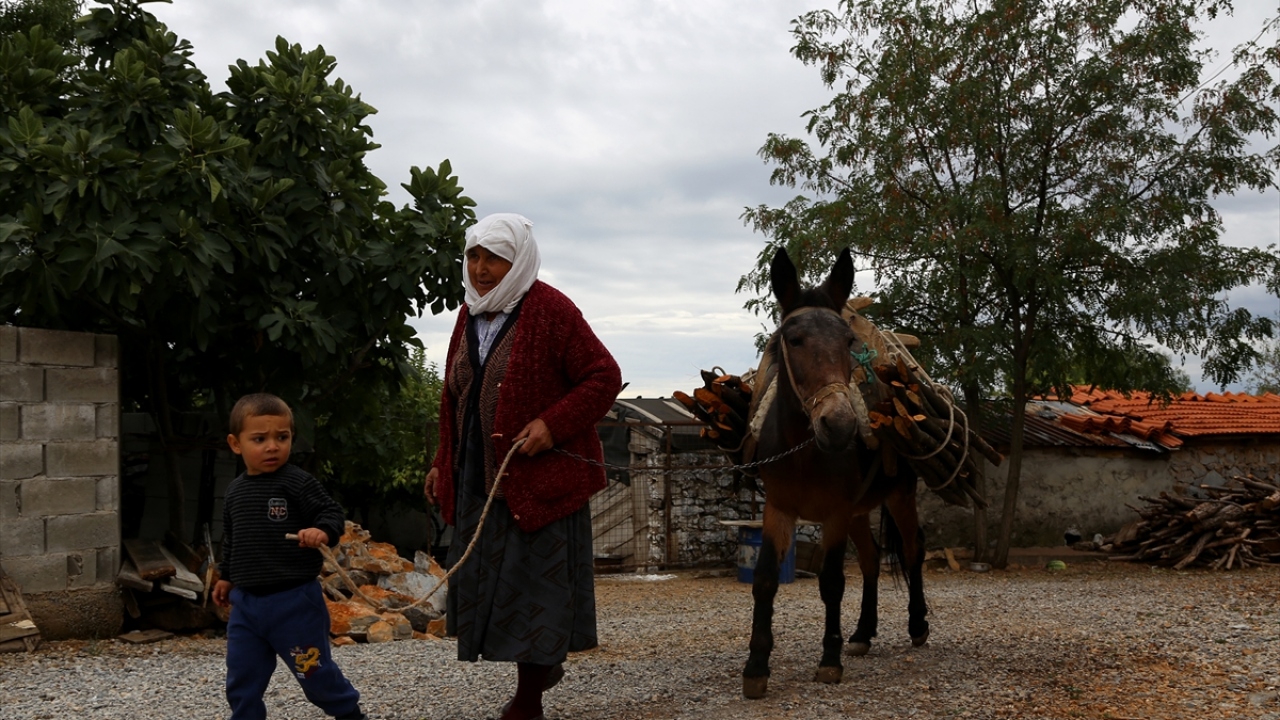 Çocuklarının yardım teklifini kabul etmeyen Namalan, boş oturmamak ve kimseye muhtaç olmamak için dağdan odun toplamaya karar verdi.