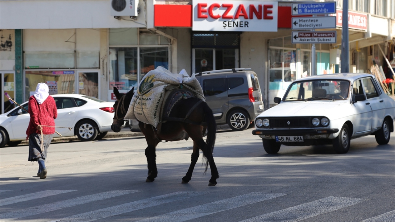 Fatma nine "can yoldaşım" dediği ve katırı "Ceylan" ile günün erken saatlerinde yola düşüyor. 