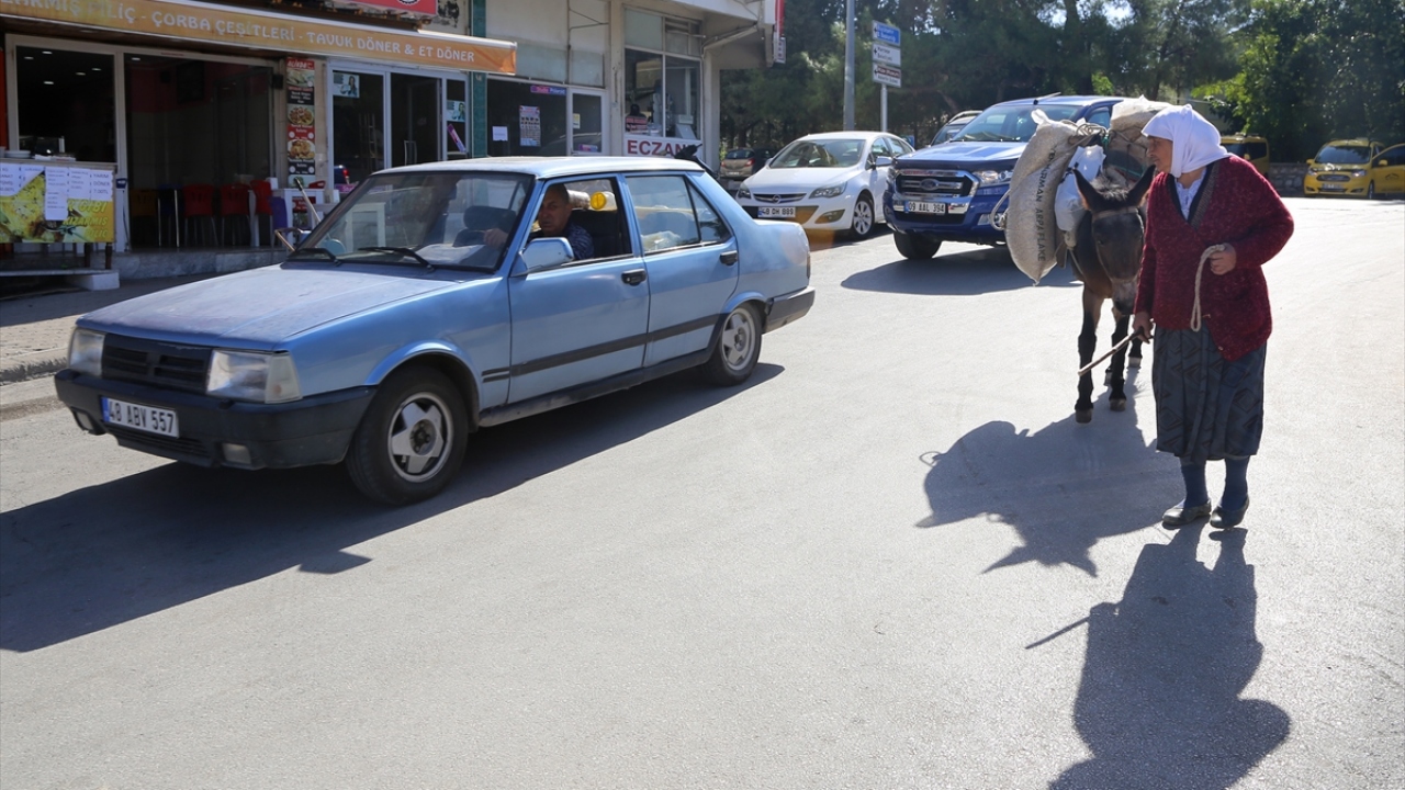 Günün sonunda kazandığı 60 lirayla hem katırını besleyen hem de torunlarına yardım eden Namalan, eşinden kalan emekli maaşıyla da evinin ihtiyaçlarını karşılıyor.