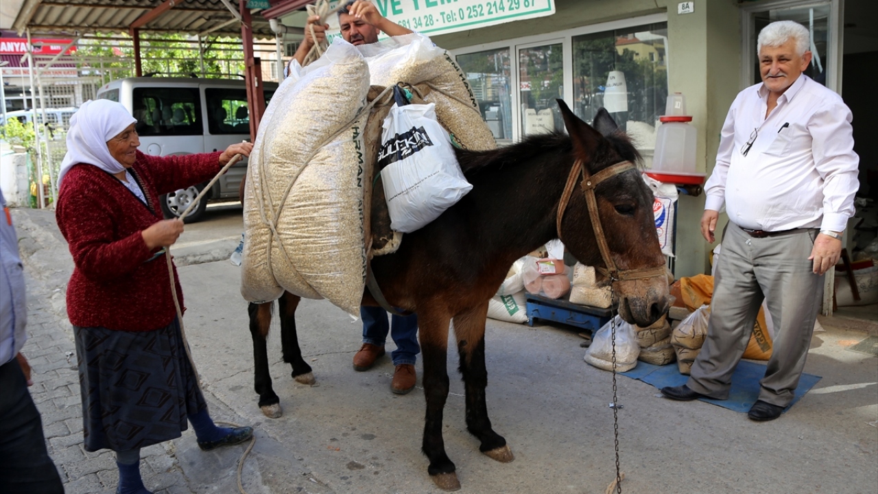 "Katırım benim ekmek teknem"