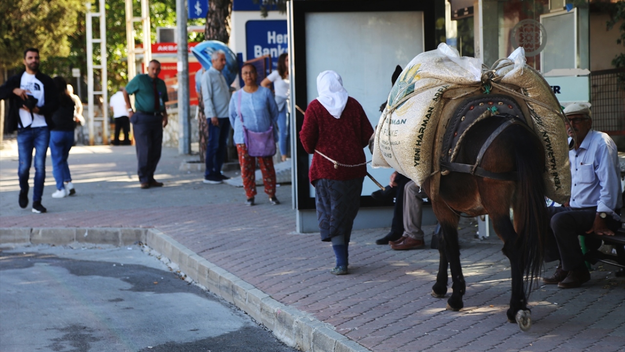 Annesinin hayvanları çok sevdiğini söyleyen Namalan, "Yardım etmek istememize rağmen bizden bir talebi olmuyor. Katırıyla gidip odun topluyor ve kentte satıyor. Biz de mani olmuyoruz çünkü yürüyüş yapması sağlığı için faydalı." dedi.