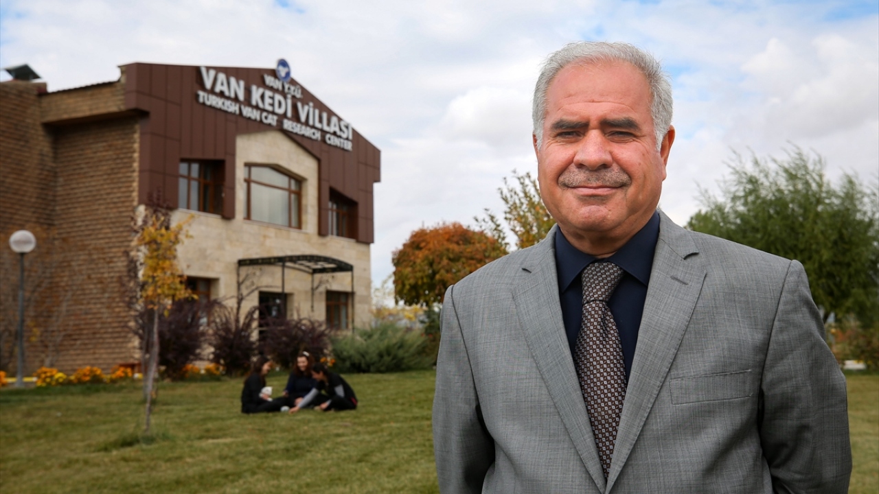 Van Kedisi Araştırma ve Uygulama Merkezi Müdürü Prof. Dr. Abdullah Kaya, yaptığı açıklamada, 2019`un kediler için verimli bir yıl olduğunu söyledi.