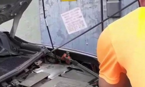 Satın aldığı otomobilin motorundan yılan çıktı