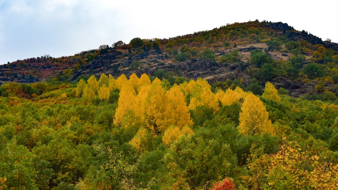 Özellikle sonbaharın gelişiyle yeşil, sarı ve kırmızının her tonuna bürünen ve Tunceli`den Bingöl sınırına kadar uzanan bölgedeki ormanlar adeta görsel şölen sunuyor.