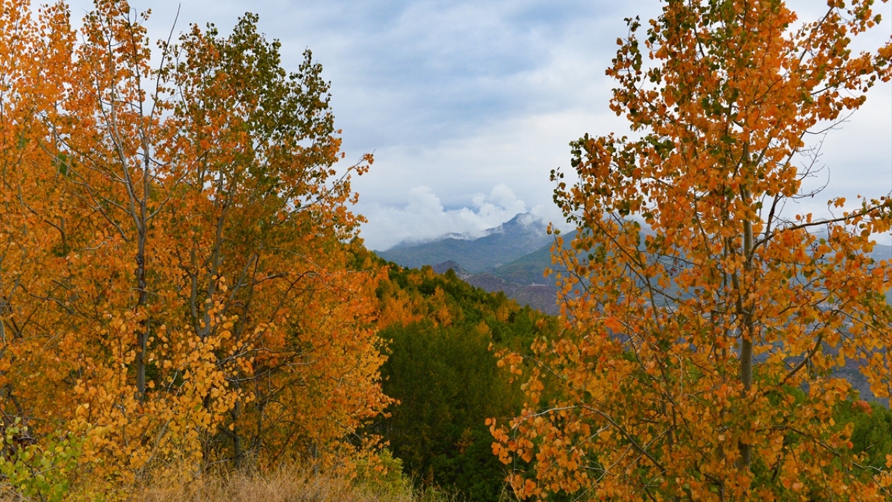 Köylülerden Yusuf Topçu da, Pülümür`ün Salördek köyü bölgesindeki ormanların, sonbaharda sunduğu renklerle mükemmel görüntüler oluşturduğunu söyledi.
