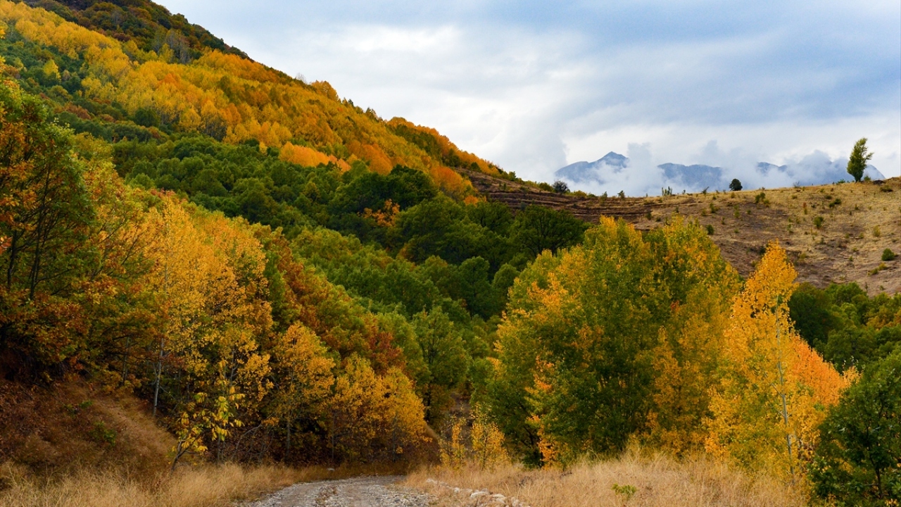 "Salördek doğanın kalbidir"