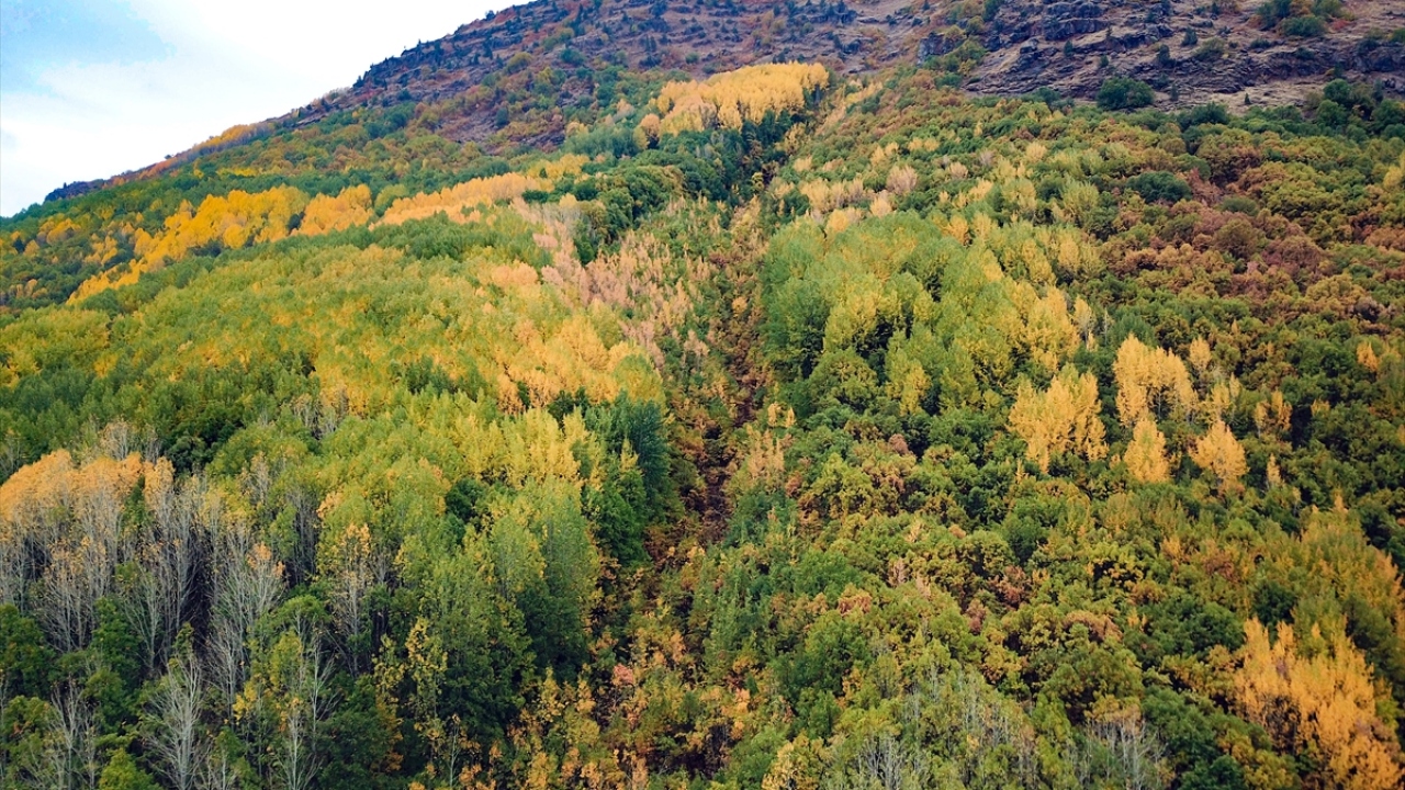 Yörede yaklaşık bir ay süren renk cümbüşü, doyumsuz manzaralar oluşturuyor.
