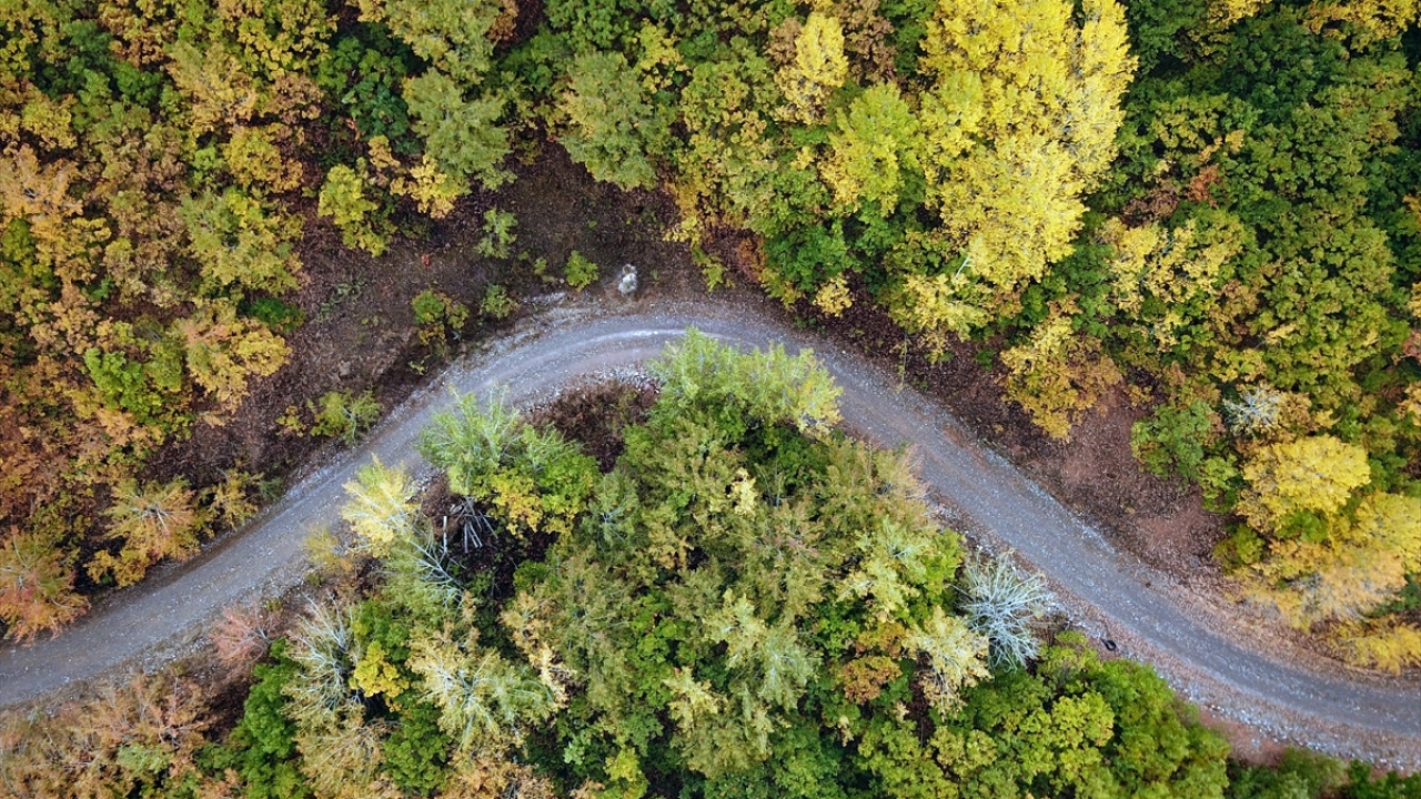 Köy sakinlerinden Binali Doğan, yaptığı açıklamada, 2002 yılında şehirden ayrılıp köyüne yerleştiğini ve muhteşem ormanlarla kaplı köyünde yaşama kararı aldığını söyledi.