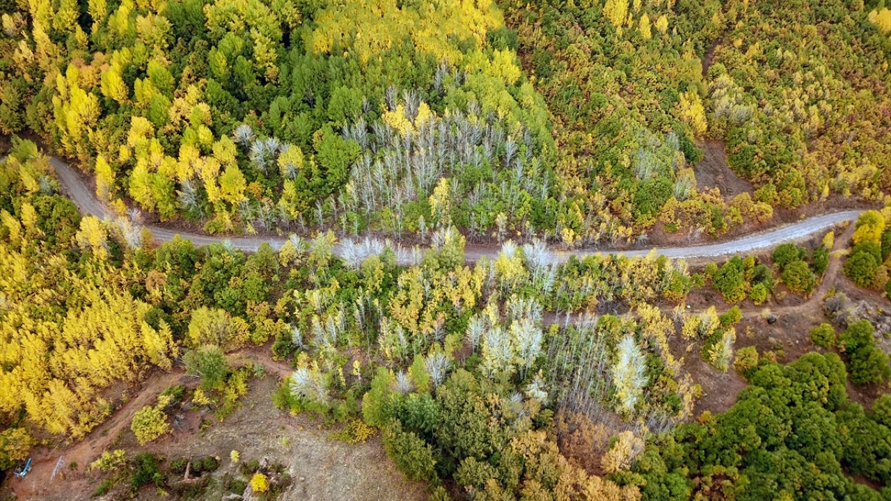 Bölgenin tanıtımı için çalıştıklarını belirten Topçu, "Bu köy, doğa güzelliği olarak Tunceli`nin bir çok yerinden daha güzel ve burayı şu ana kadar keşfetmeyen pek çok insanın da olduğunu biliyoruz." ifadelerini kullandı. 