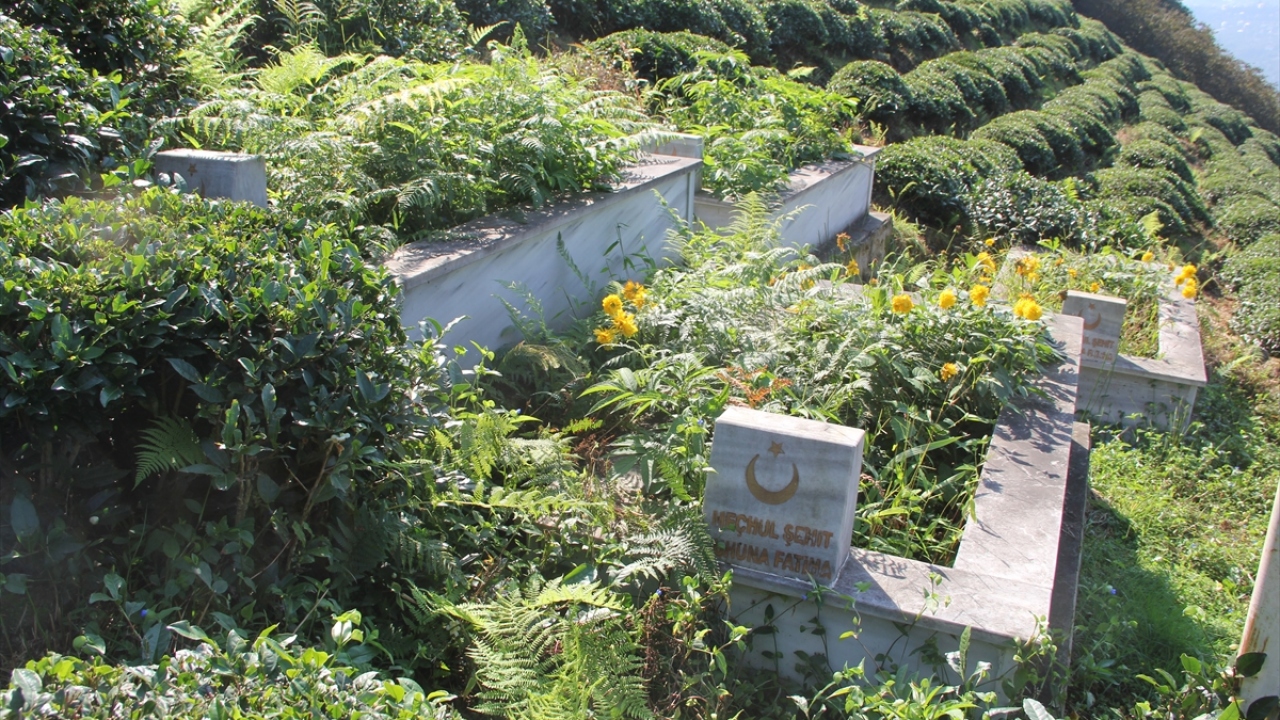 "Şehitlerimizin ismi yaşatılacak" 