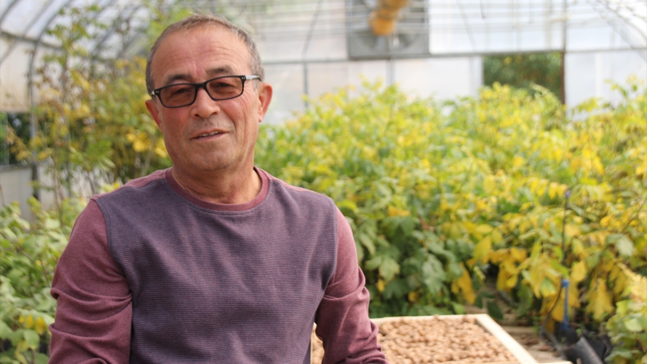 "Rekolte beklediğimizden de yüksek oldu"