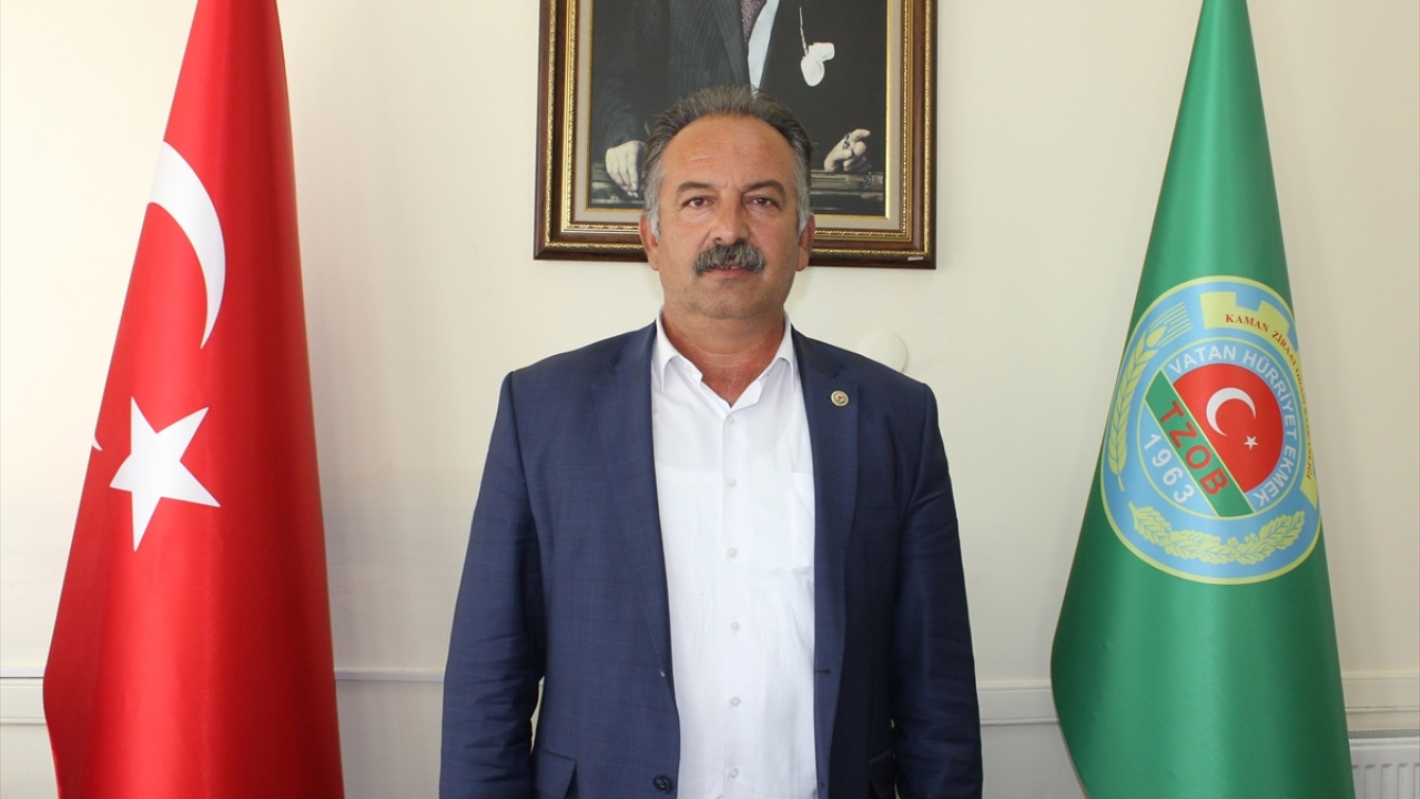 Kaman Ziraat Odası Başkanı Çetin Gökalp, yaptığı açıklamada, bu yıl verimin son 4 seneye kıyasla çok iyi olduğunu söyledi.