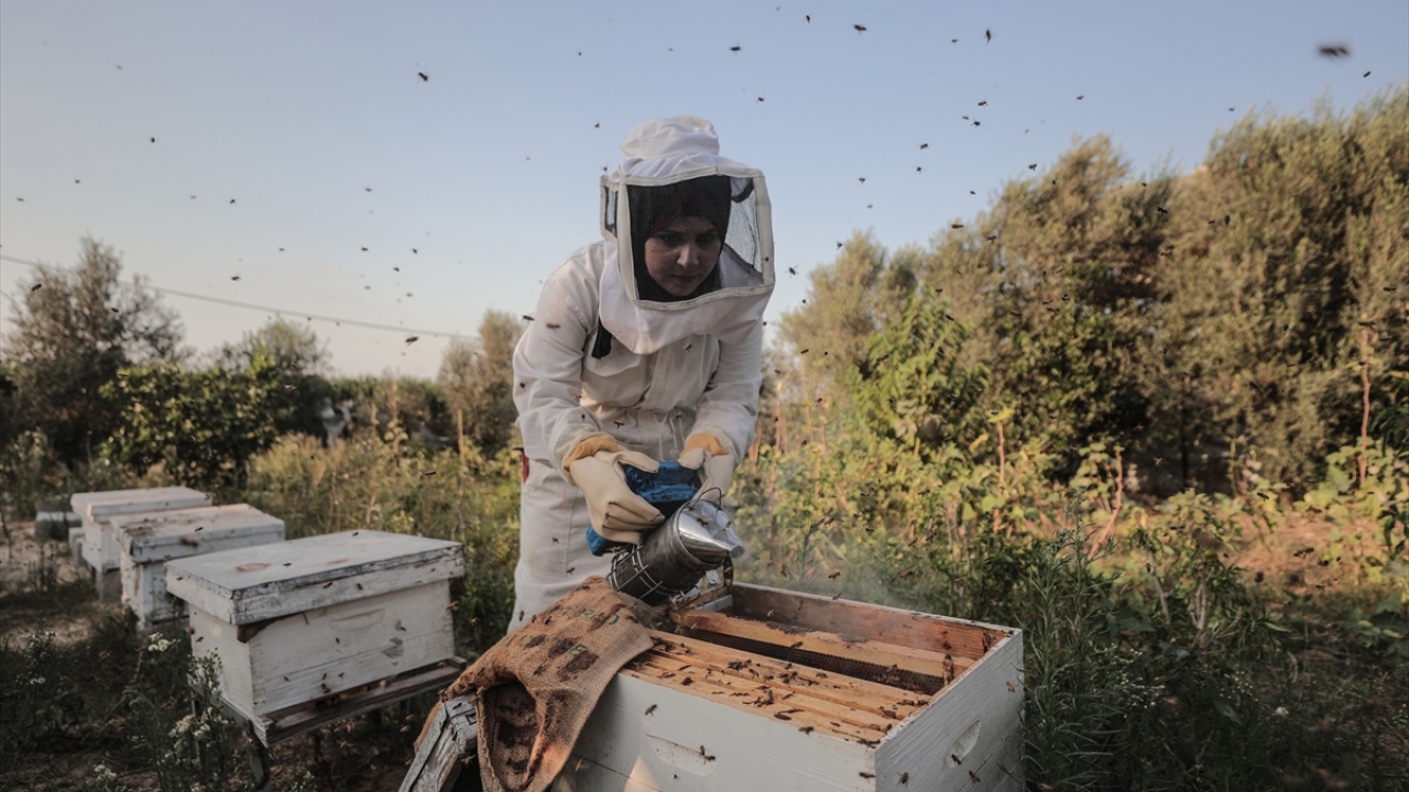 Filistinli genç kadın, İsrail`in tehditlerine rağmen araziyi yeniden kullanıma açarak burada zahter, adaçayı ve moringa gibi çeşitli şifalı bitkiler yetiştirmeye ve babasının mesleğine sahip çıkarak arıcılık yapmaya başladı. 
