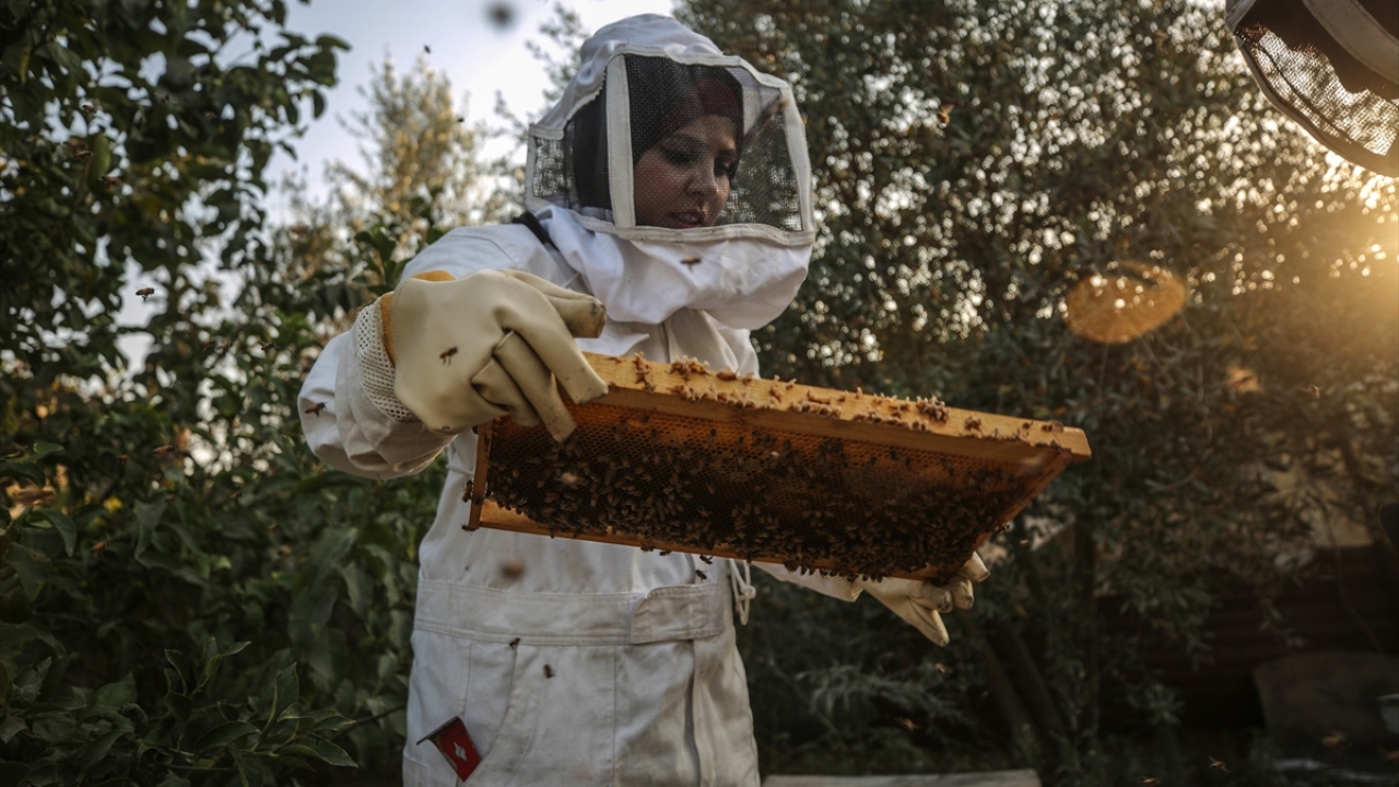 Gazze`deki Kudüs Üniversitesi İlkokul Öğretmenliği Bölümü`nü 2013`te tamamlayan Elba, 9 kardeşi gibi kendisinin de mezun olduğu alanda iş bulamadığını ancak çalışmaya inancını hiç kaybetmediğini söyledi.
