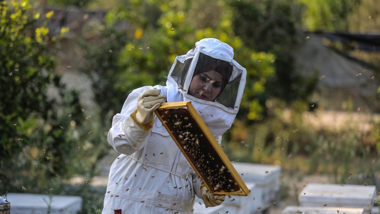 İlk kovanını babasının şehit edildiği yere kurdu