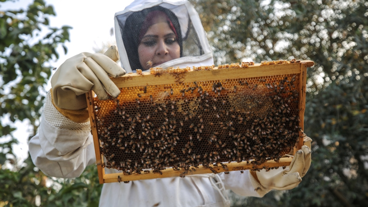 Samar Elba, ayrıca Gazze`de daha ziyade erkeklerin bu tarz işlerde çalışması nedeniyle toplumsal açıdan da zorluk yaşadığını aktardı. 