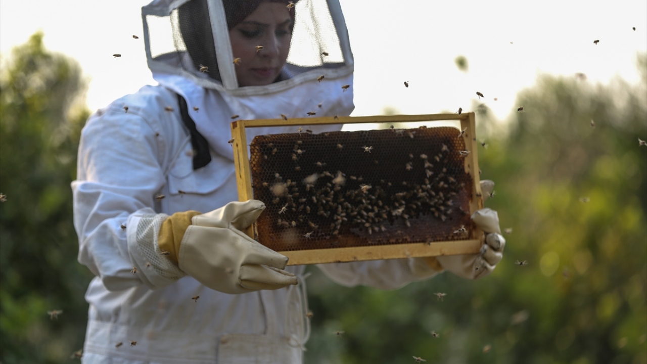 Küçükken babasını arılar ve kovanlarla uğraşırken izlediğini dile getiren Elba, "Burada çalışırken zorluk yaşadığım zamanlarda hemen aklıma babamın bu işi nasıl yaptığı geliyor." dedi.
