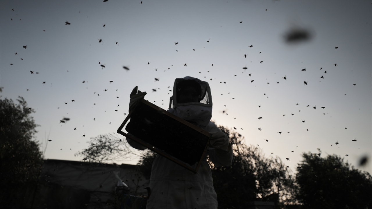 Ailesinin geçimine katkı sağlıyor