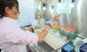 Üretilen yerli enzimin yem maliyetlerini düşürmesi hedefleniyor