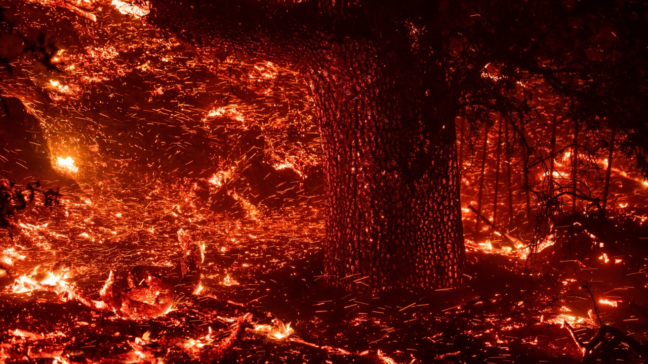 California Orman ve Yangından Korunma Sözcüsü Jonathan Cox, şu ana kadar herhangi bir ölü ve yaralının olmadığını belirtti.