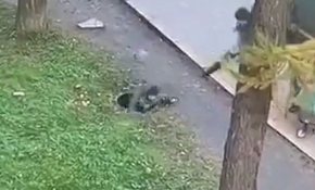 Lağım çukuruna düşen çocuğu annesi saniyeler içinde kurtardı