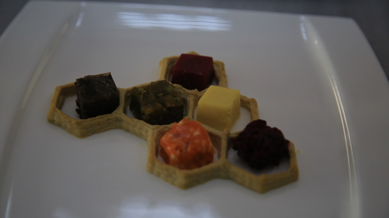 Doktor öğretim üyesi Yatmaz, aşçılık, pastacılık ve mutfak sanatları alanında çalışmalar yaptıklarını, dünyada, yiyeceklerin lezzetinin yanında özellikle son yıllarda görselliğinin de öne çıktığını söyledi.