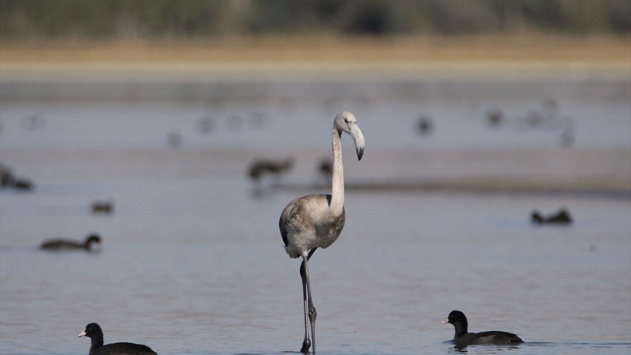Fotoğraf sanatçılarının gözde mekanı