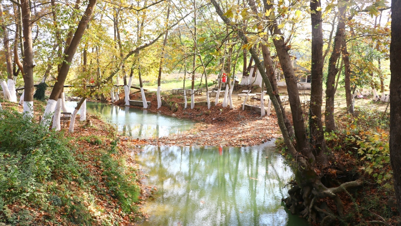 Fotosafari tutkunları ve doğaseverlerin özellikle hafta sonu vazgeçilmez rotalarından olan Ganoslar, sonbaharın gelişiyle farklı bir güzelliğe büründü.