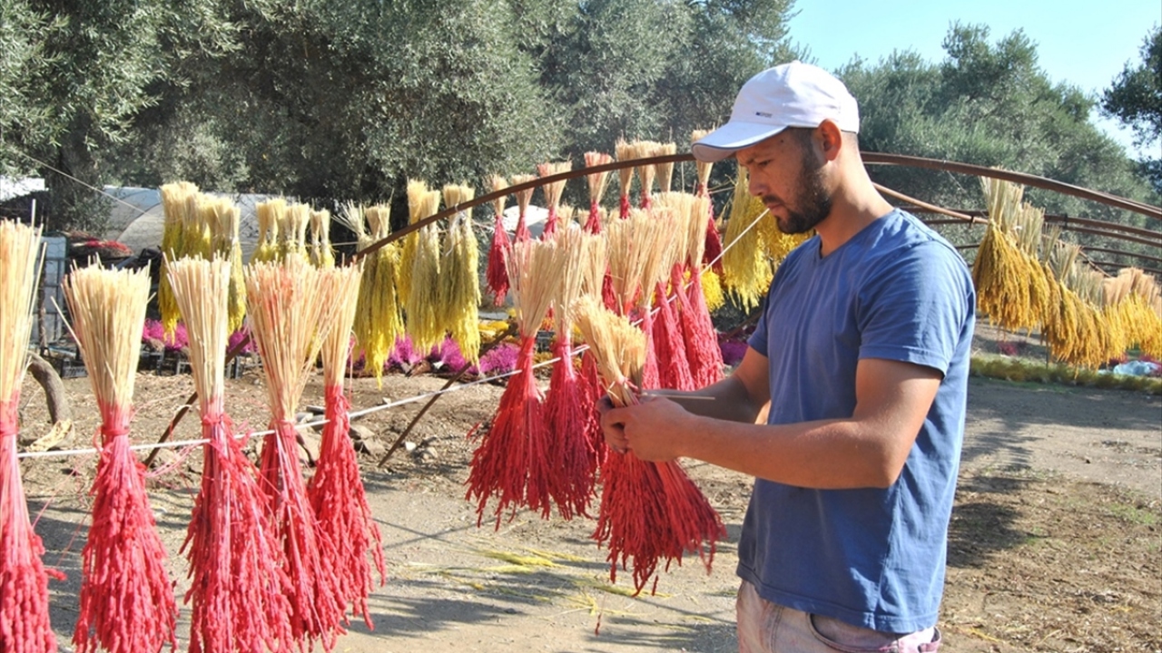 İnternetten alınan siparişlere göre kazanlarda rengarenk boyanan çiçekler, ipe asılarak kurutuluyor. 