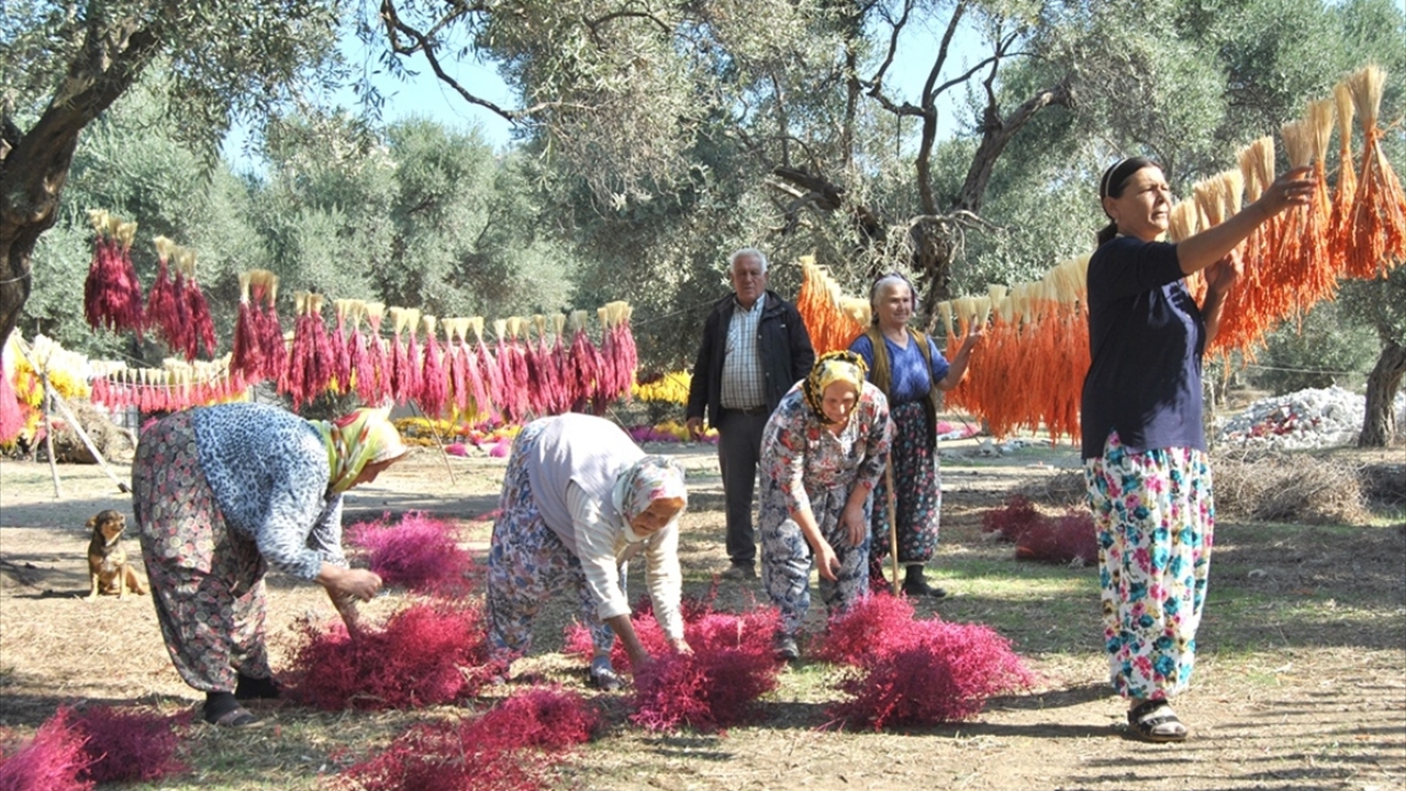 700 nüfuslu Turan Köyü`nde gençler, yaz aylarında ilçeyi çevreleyen dağ ve ovalardan çiçek topluyor. 