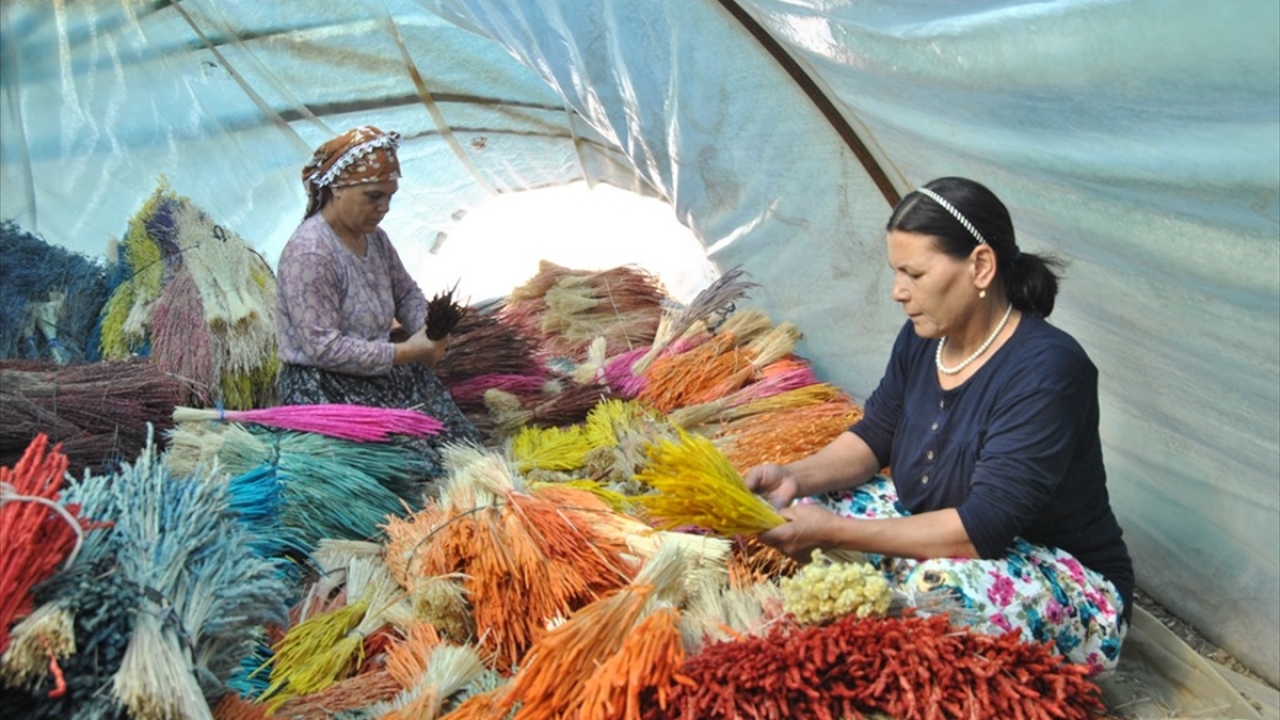 Köyde dağlarda çiçek toplayamayan nüfus ise yıl boyu kurutma, boyama ve paketlemede çalışıyor.