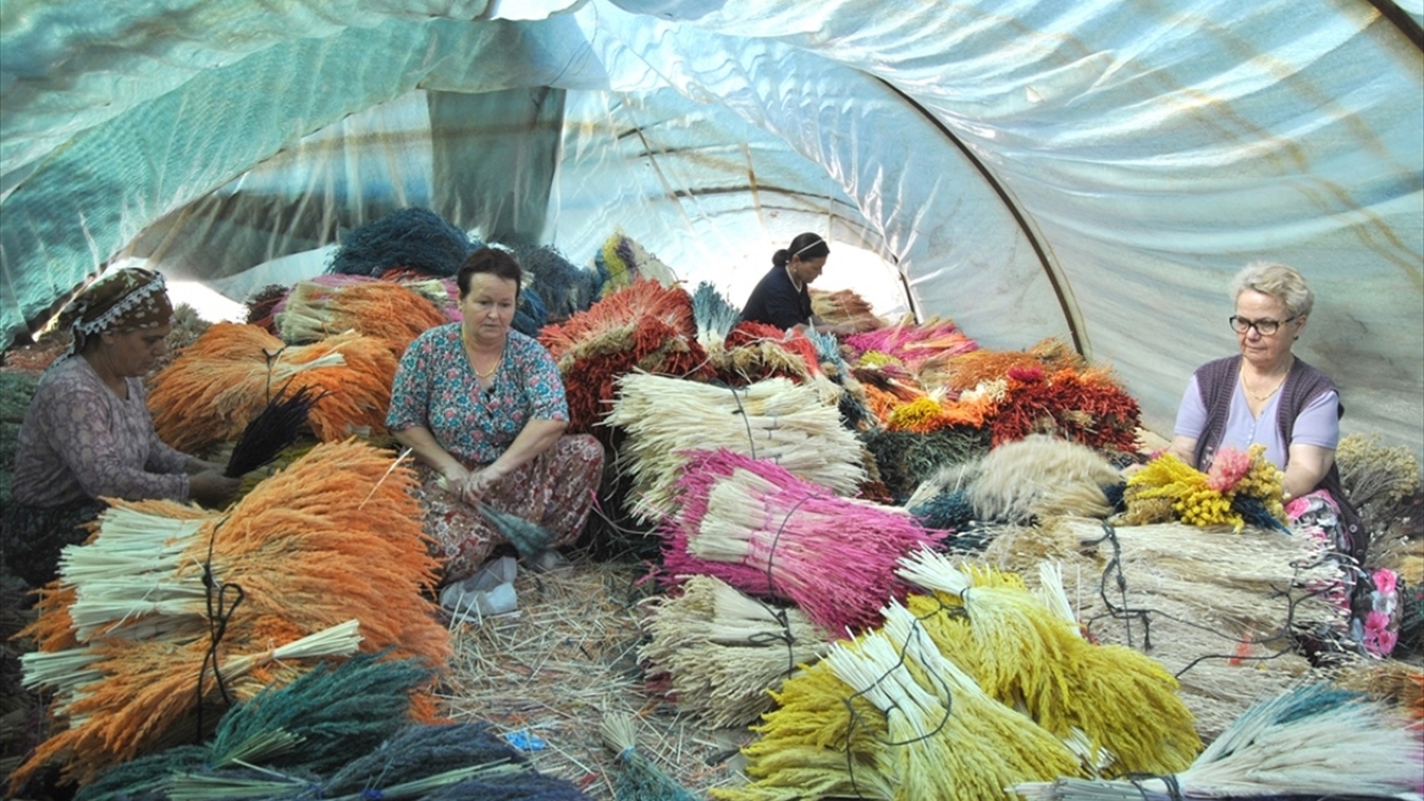 Çiçekleri kurutarak depolayan köylüler, yıl boyu devam eden siparişler için hazırlık yapıyor.