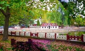 Konya'daki Kuğulu Milli Parkı ziyaretçilerini ağırlıyor