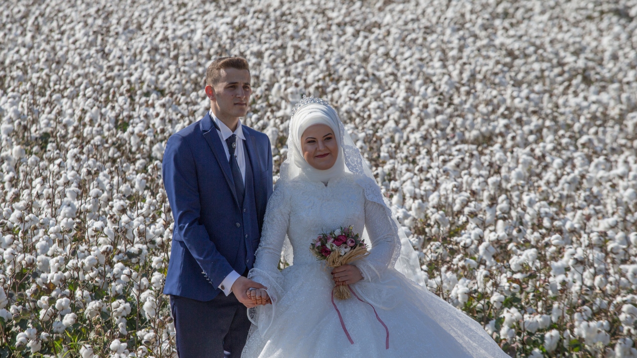 Söke`de bazı düğün fotoğrafçıları gelin ve damadın dış çekimlerini pamuk tarlalarında yapmaya başladı. 