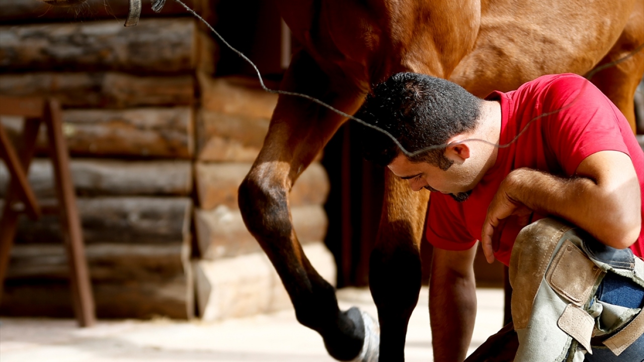 "Atlara sevgiyle yaklaşarak güven sağlıyorum"