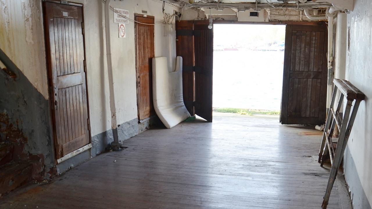  Doğuma da şahitlik etti