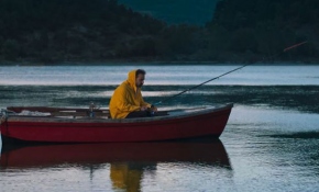 "Ceviz Ağacı" Altın Portakal'da seyirciyle buluştu