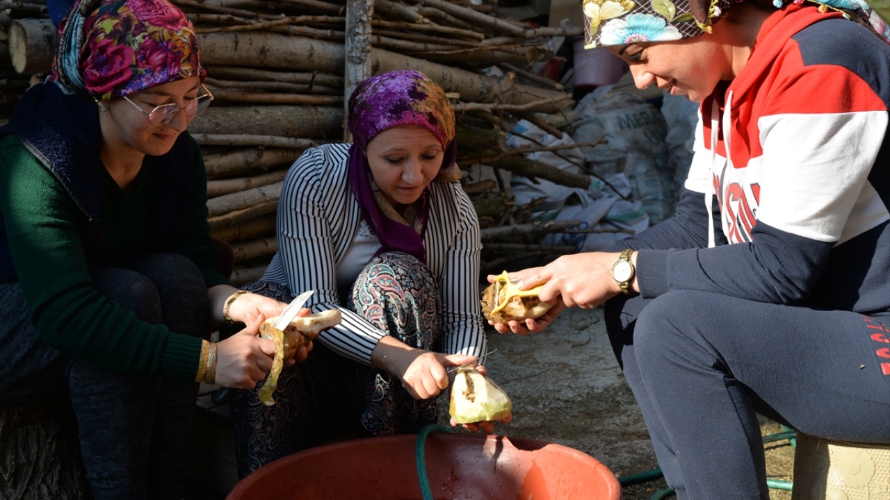 Tekin, şeker pancarının, çıkarılması meşakkatli bir bitki olduğunu vurguladı.
