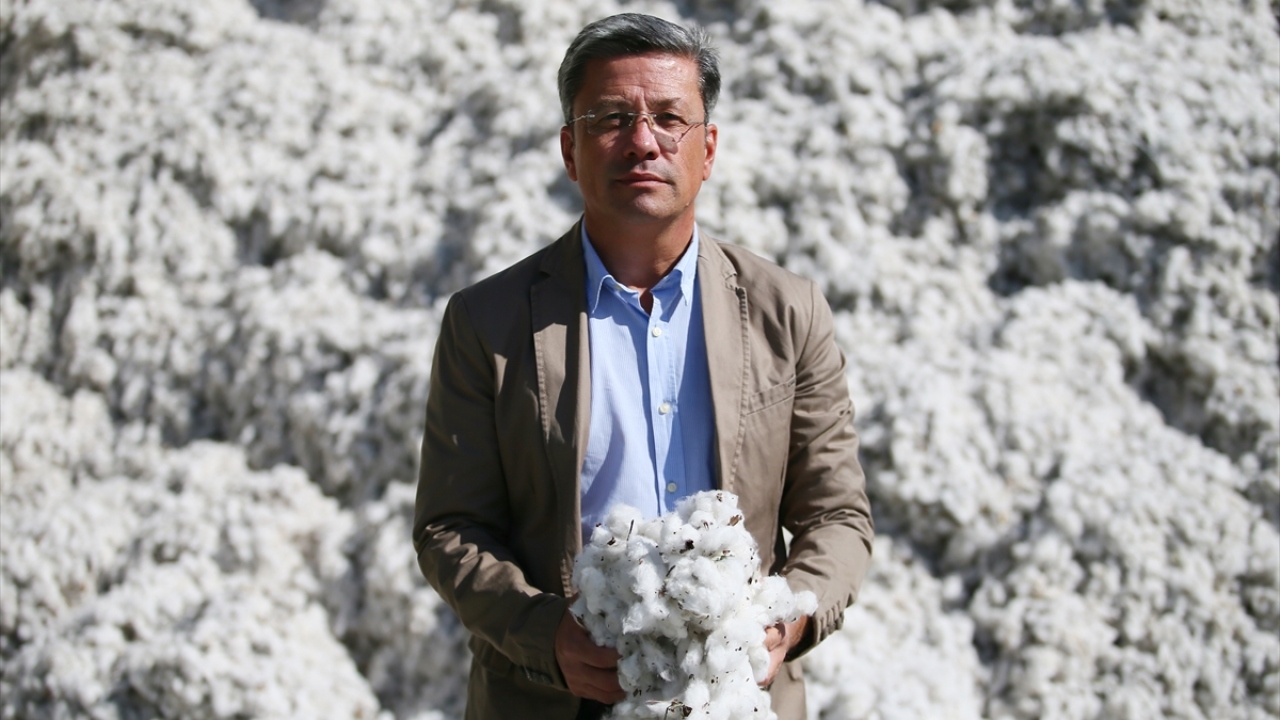 Ulusal Pamuk Konseyi Başkanı (UPK) Bertan Balçık, 2019`da pamuk ekim alanının geçen sezona göre bir miktar arttığını söyledi.