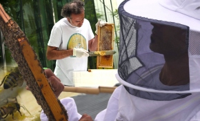 Paris’in Türk arıcısı