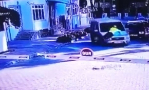 Alkollü sürücüyü durdurmak için araç önüne atlayan polise ödül verilecek