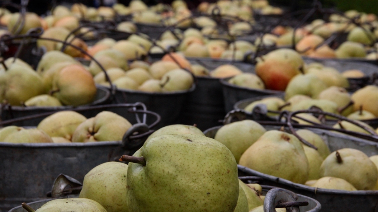Özkan, ekim ayında başlayan hasat sonrası rekolte seviyesinin de fiyatların da üreticiyi memnun ettiğini belirterek, "Rekolte geçen yılın altında değil, 70-80 bin ton rekolte var." dedi.