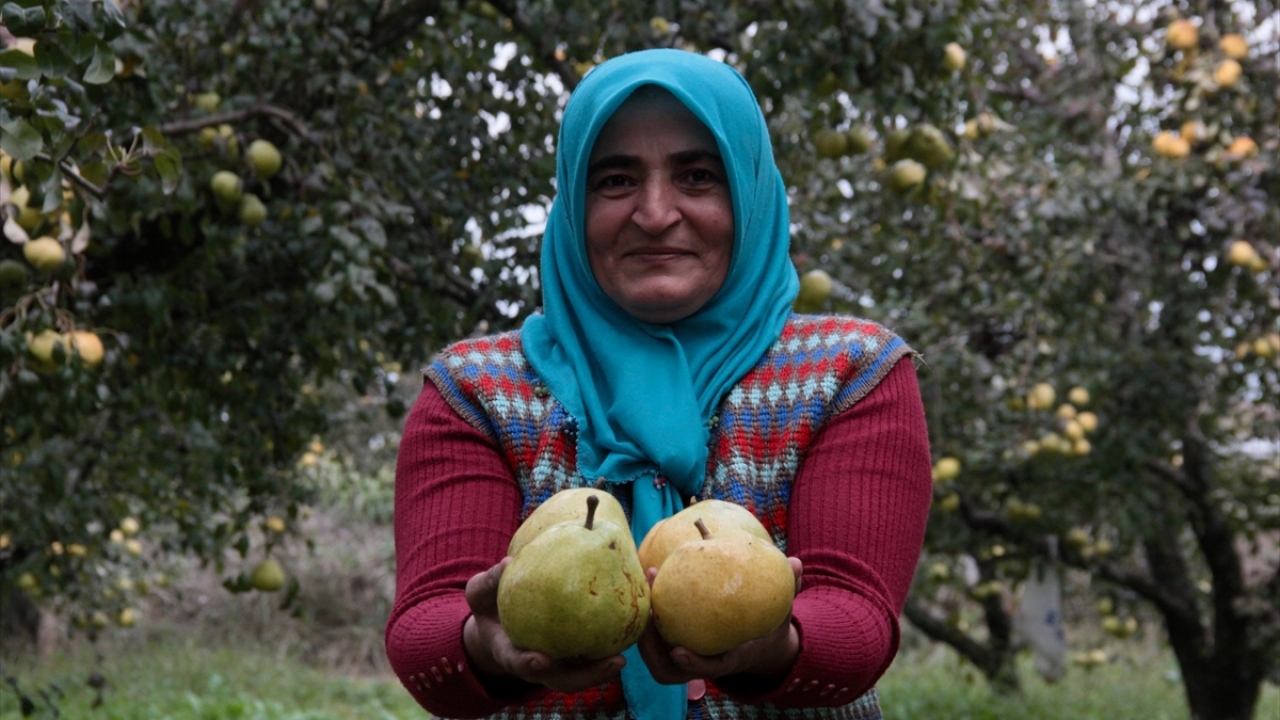 "Rekolte de fiyatlar da iyi"