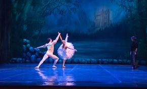 Kuğu Gölü Balesi Ankaralı sanatseverlerle buluşacak