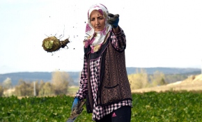 Çiftçilerin zorlu pancar mesaisi devam ediyor