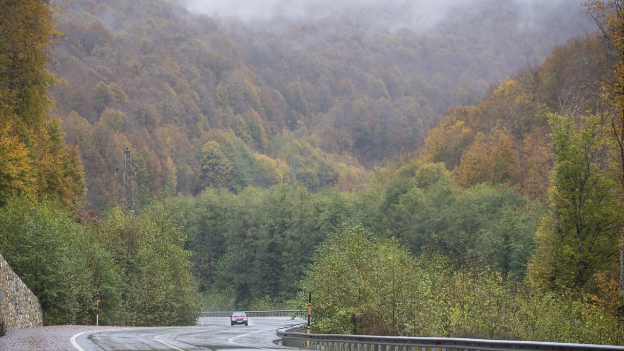 Orman içerisindeki Balkan köylerini gezerek en iyi kareyi yakalamak için çaba sarf eden fotoğraf tutkunları, aynı zamanda doyumsuz bir güzelliği de tanıklık ediyor.