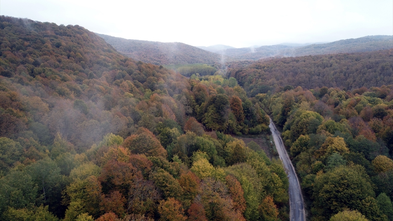 Yazın çiçeklerin ve doğanın güzelliği, derelerin şırıltısı ile misafirlerine ev sahipliği yapan ormanlarda, sonbaharın farklı renklerini bir arada görmek mümkün.