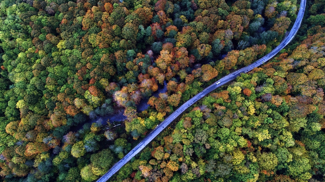 Bölgede son dönemdeki yağışların etkisiyle ışıldayan dereleri, doğal güzellikleri, yürüyüş parkurları ve barındırdığı hayvan popülasyonuyla ilgi çeken ormanlar, sonbaharda yeşil, sarı ve kahverenginin farklı tonlarına büründü.